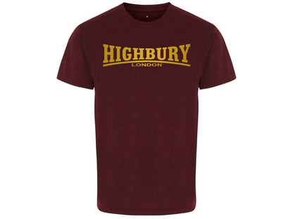 Performance Gym Wear (unisex) -  Highbury T-Shirts